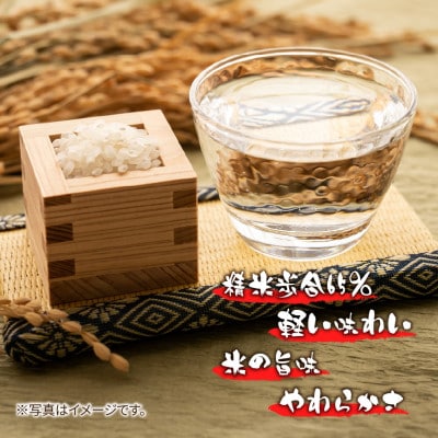 清酒 松乃井 720ml 日本酒 精米歩合65% 新潟県 十日町市