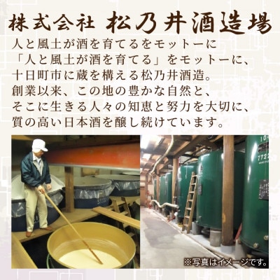 清酒 松乃井 720ml 日本酒 精米歩合65% 新潟県 十日町市