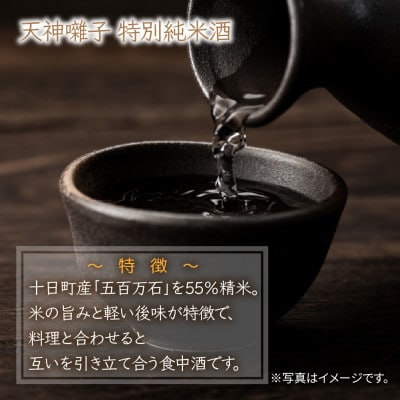 魚沼酒造 & 松乃井酒造 特別純米酒 飲み比べセット 720ml 計2本