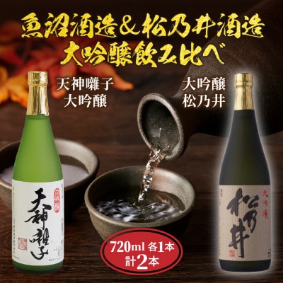 魚沼酒造 & 松乃井酒造 大吟醸 飲み比べセット 720ml 計2本