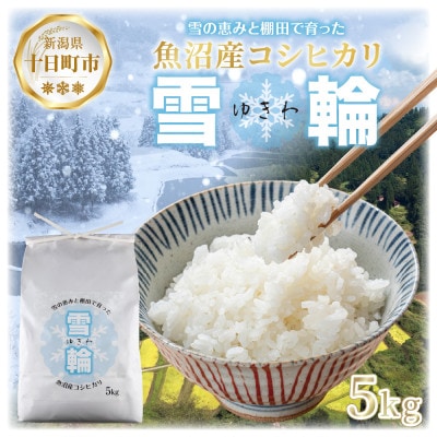 【棚田米】 魚沼産 コシヒカリ 「雪輪米」精米 5kg 新潟県 十日町市