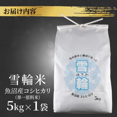 【棚田米】 魚沼産 コシヒカリ 「雪輪米」精米 5kg 新潟県 十日町市