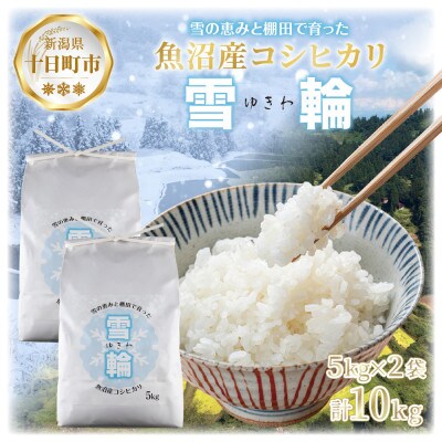 【棚田米】 魚沼産 コシヒカリ 「雪輪米」精米 5kg×2袋 10kg 新潟県 十日町市