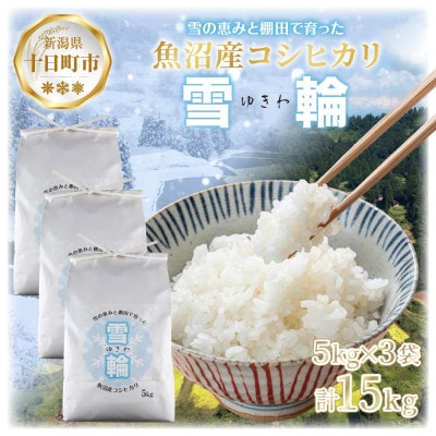 【棚田米】 魚沼産 コシヒカリ 「雪輪米」精米 5kg×3袋 15kg 新潟県 十日町市
