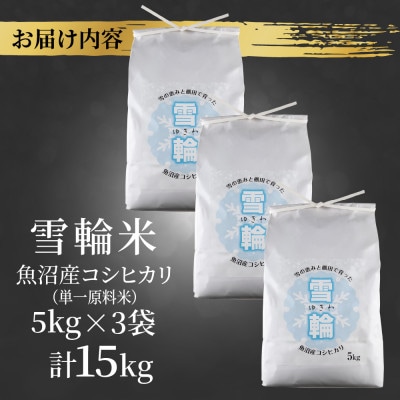 【棚田米】 魚沼産 コシヒカリ 「雪輪米」精米 5kg×3袋 15kg 新潟県 十日町市