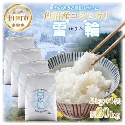 【棚田米】 魚沼産 コシヒカリ 「雪輪米」精米 5kg×4袋 20kg 新潟県 十日町市