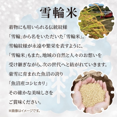 【棚田米】 魚沼産 コシヒカリ 「雪輪米」精米 2kg 新潟県 十日町市