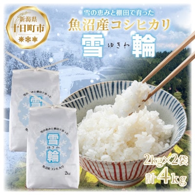 【棚田米】 魚沼産 コシヒカリ 「雪輪米」精米 2kg×2袋 4kg 新潟県 十日町市