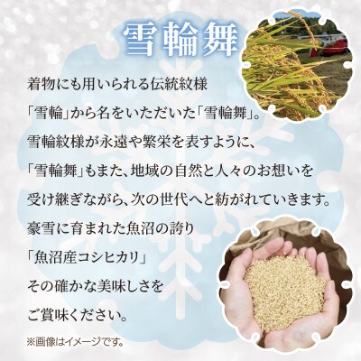 【棚田米】 魚沼産 コシヒカリ 「雪輪舞」精米 2kg×2袋 4kg 新潟県 十日町市