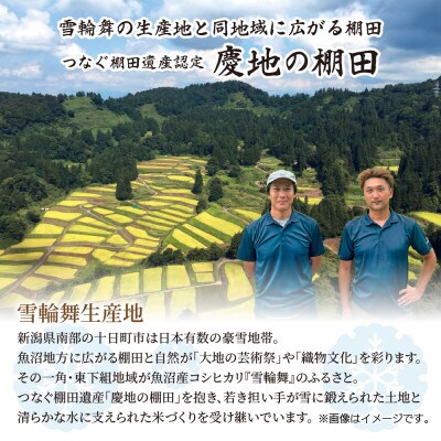 【棚田米】 魚沼産 コシヒカリ 「雪輪舞」精米 2kg×2袋 4kg 新潟県 十日町市