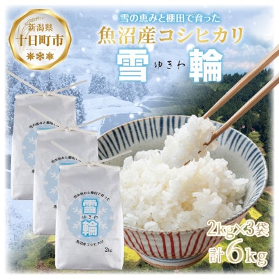 【棚田米】 魚沼産 コシヒカリ 「雪輪米」精米 2kg×3袋 6kg 新潟県 十日町市