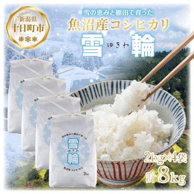 【棚田米】 魚沼産 コシヒカリ 「雪輪米」精米 2kg ×4袋 8kg 新潟県 十日町市