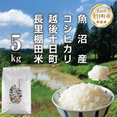 魚沼産 コシヒカリ 長里 棚田米 5kg 新潟県十日町市