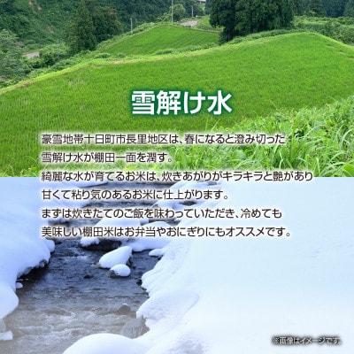 魚沼産 コシヒカリ 長里 棚田米 5kg 新潟県十日町市