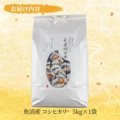 魚沼産 コシヒカリ 長里 棚田米 5kg 新潟県十日町市