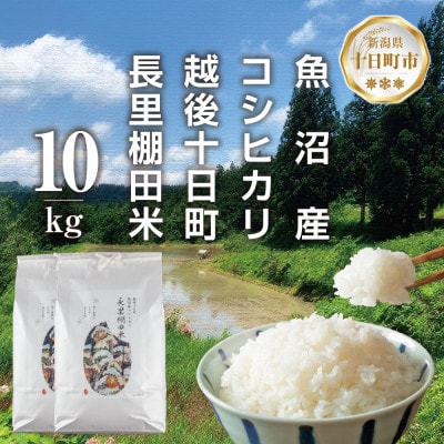 魚沼産 コシヒカリ 長里 棚田米 10kg 新潟県十日町市