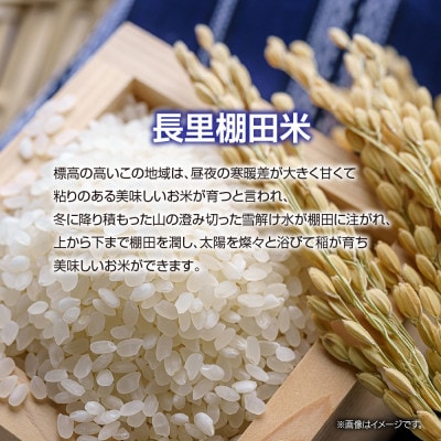 魚沼産コシヒカリ 長里 棚田米 2kg 新潟県十日町市