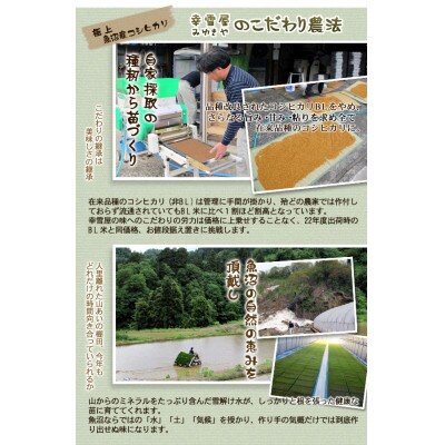魚沼産コシヒカリ非BL米 精米 計5kg