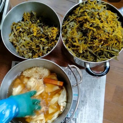 十日町で体験する草木染とお昼ご飯付き1日ワークショップ