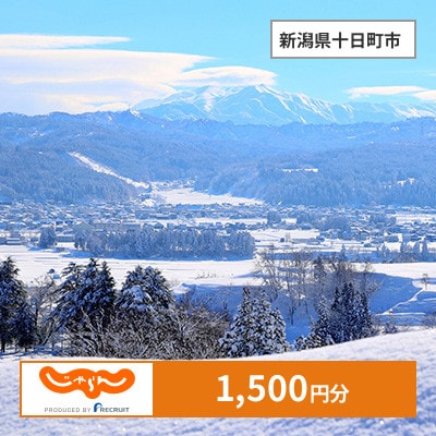 【じゃらんふるさと納税クーポン】 新潟県十日町市でつかえる1,500円 クーポン