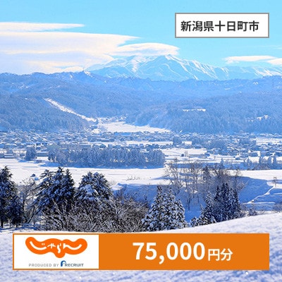 【じゃらんふるさと納税クーポン】 新潟県十日町市でつかえる75,000円 クーポン