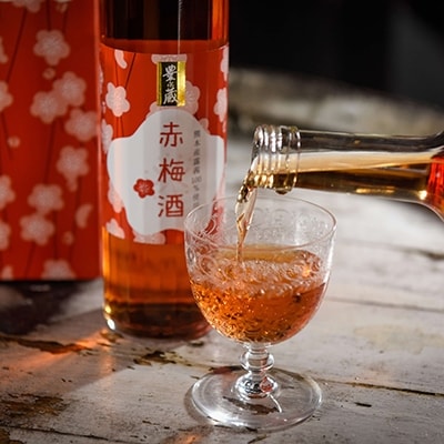 豊永蔵「赤梅酒」(500ml×2本)