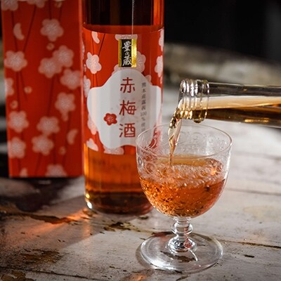 【豊永蔵】梅酒セット(500ml×2本)