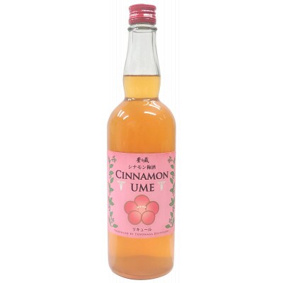 スパイス&焼酎シナモン梅酒12度　700ml×2本