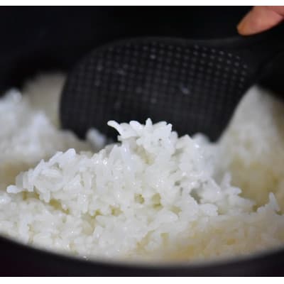 【令和7年産】有機JAS認定米 ハヤシダライス(にこまる 精米) 5kg×2袋 計10kg