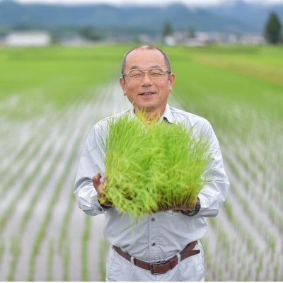【令和7年産】有機JAS認定米 ハヤシダライス(にこまる 精米) 5kg×2袋 計10kg