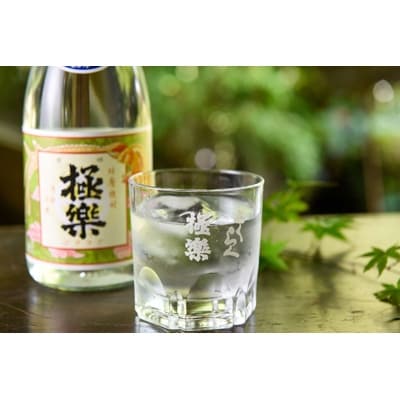 球磨焼酎バラエティーセット(720ml×12本)