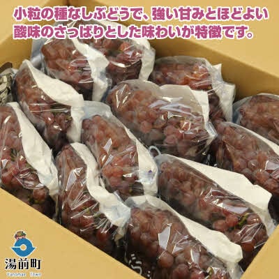 【先行受付!】【くまもと湯前産】　デラウェア　約2kg