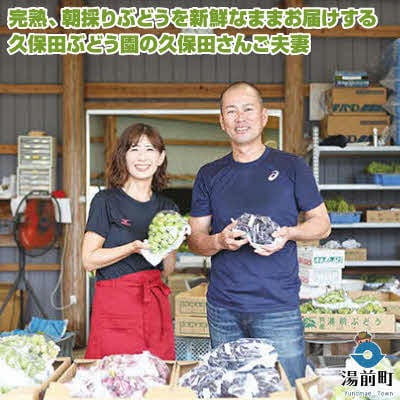 【先行受付!】【くまもと湯前産】爽やかな甘さ!ハニーシードレス 約3kg
