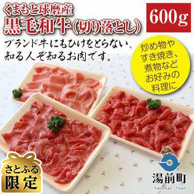【さとふる限定】くまもと球磨産　黒毛和牛(切り落とし　600g)