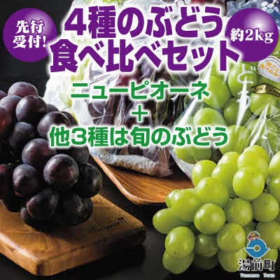【先行受付!】【くまもと湯前産】　4種のぶどう食べ比 べセット　約2kg