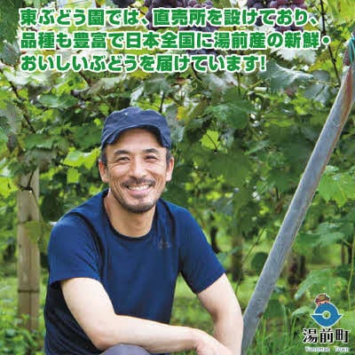【先行受付!】【くまもと湯前産】　4種のぶどう食べ比 べセット　約2kg