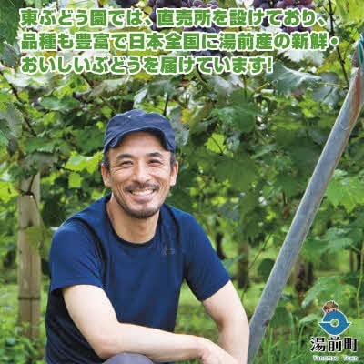 【先行受付!】【くまもと湯前産】朝採り!シャインマスカット(2房) 