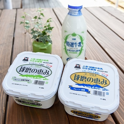 【毎月定期便】球磨酪農おすすめセットA(瓶牛乳&ヨーグルト加糖・砂糖不使用)　全3回