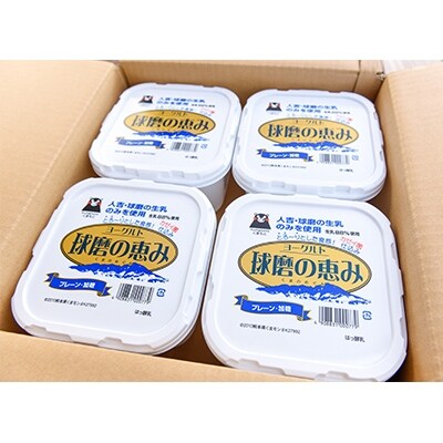 【毎月定期便】球磨酪農ヨーグルト加糖 全3回