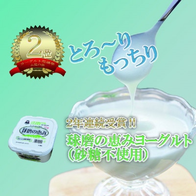 【毎月定期便】球磨酪農ヨーグル砂糖不使用 全3回