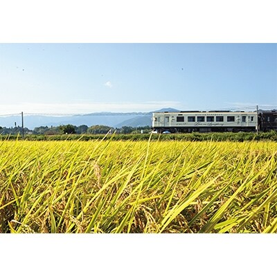 【先行受付!令和4年産】熊本県湯前町産にこまる4kg×2袋(精米)