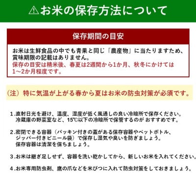 【令和7年産】熊本県湯前町産米食べ比べセット4kg×2袋(精米)