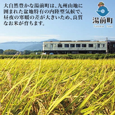 【令和7年産】くまさんの輝き5kg×1袋【2026年5月下旬～10月下旬発送予定】