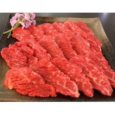 肥後の赤牛　ロース焼肉用　500g(湯前町)