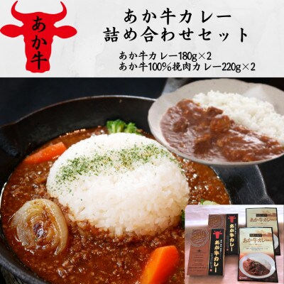 あか牛カレー詰め合わせセット(あか牛カレー180×2、あか牛100%挽肉カレー220g×2)(湯前町