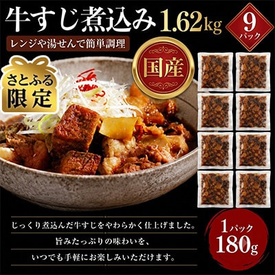 【さとふる限定】レンジで簡単!　国産　牛すじ煮込み　180g×9p(1.62kg)(湯前町)