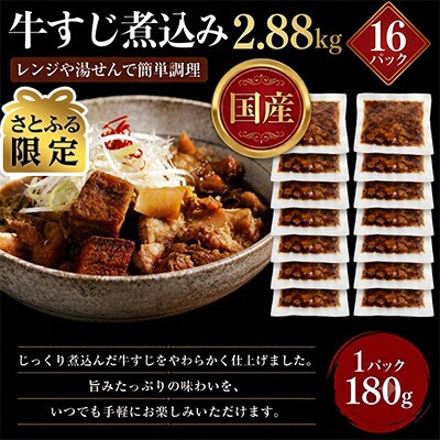 【さとふる限定】レンジで簡単!　国産　牛すじ煮込み　180g×16p(2.88kg)(湯前町)