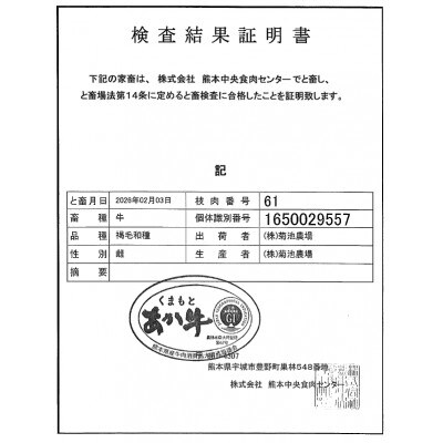 GI　くまもとあか牛　ロースステーキ　500g(湯前町)