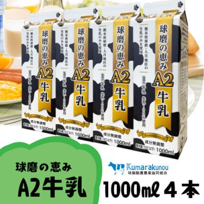 球磨の恵みA2牛乳　1000ml　4本(湯前町)