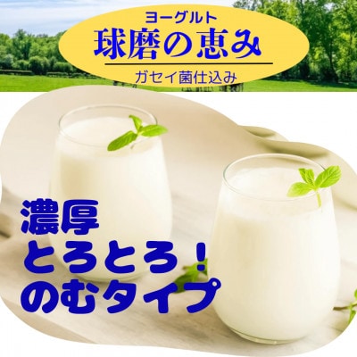生乳100%にこだわった濃厚タイプ、球磨の恵みのむヨーグルト(無糖150g×10)(湯前町)
